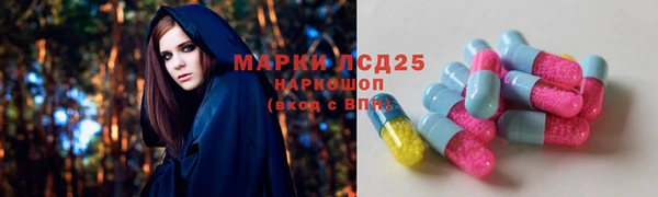 spice Богородск