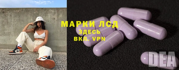 spice Богородск