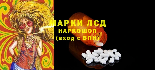 spice Богородск