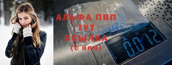 spice Богородск