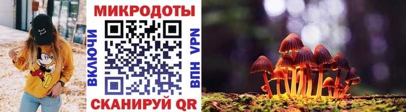 Галлюциногенные грибы мухоморы  Вяземский 