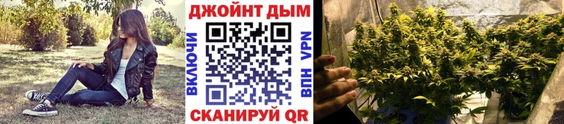 МАРИХУАНА план  как найти наркотики  ОМГ ОМГ как войти  Вяземский 